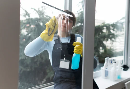 Nettoyage de vitres intérieures et extérieures à Guissény